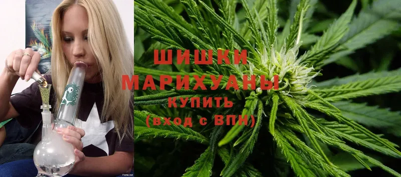 Конопля марихуана  где продают наркотики  MEGA tor  Солигалич 